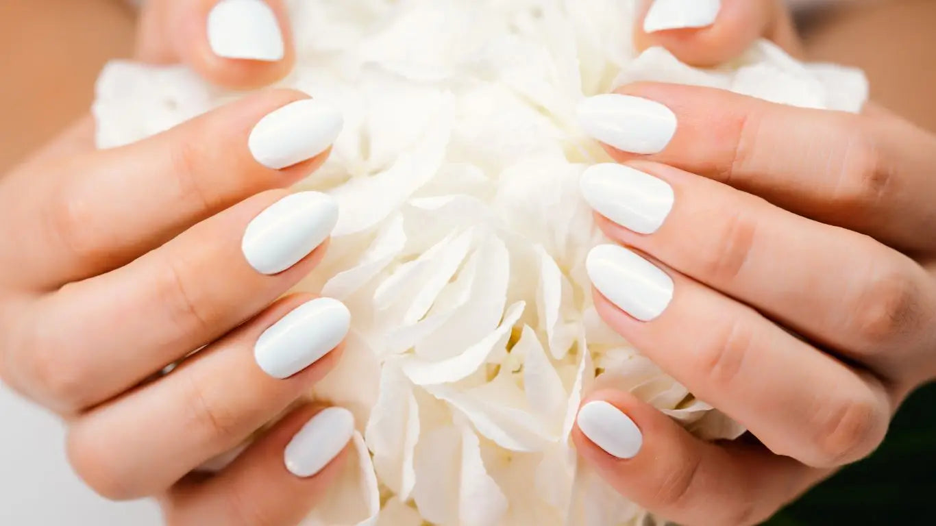 Hände mit weißen manicurierten Nägeln halten eine weiße Blume im Nägel-Collection