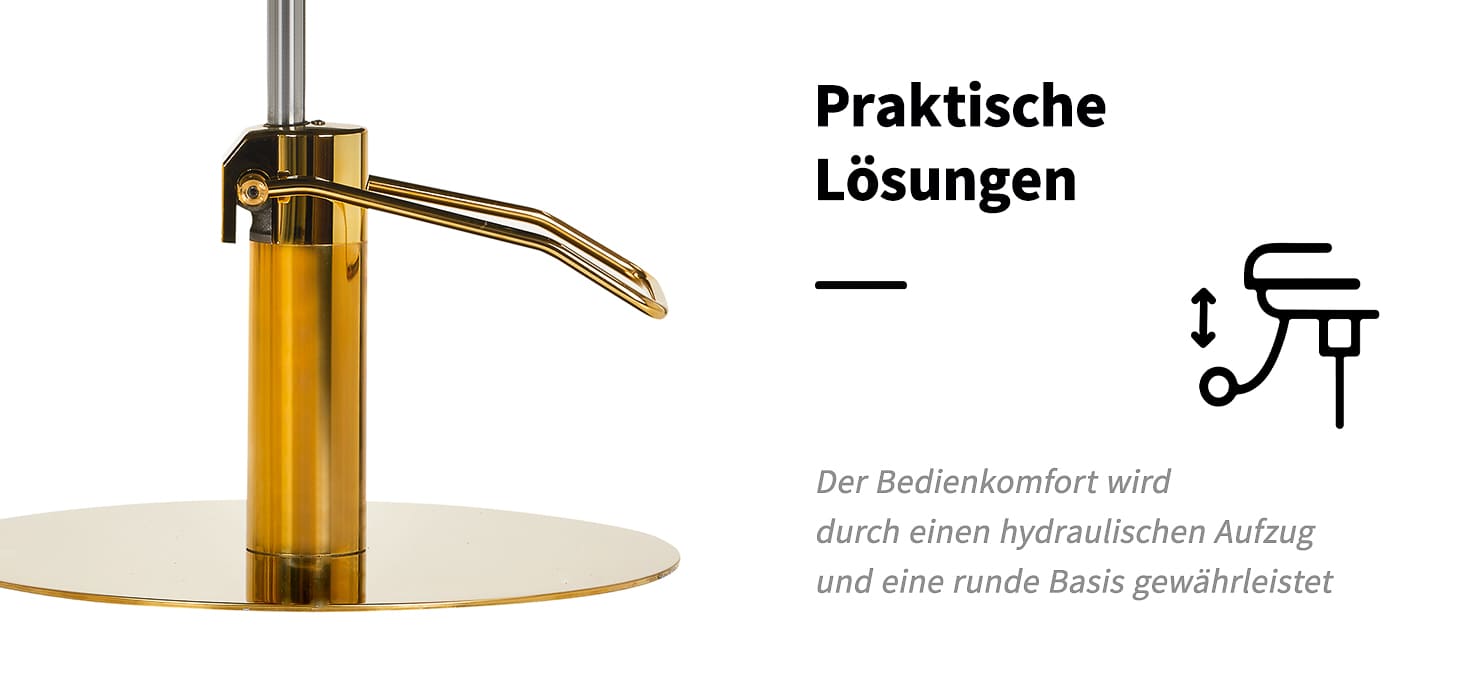 Friseurstuhl Burgos Gold Grau