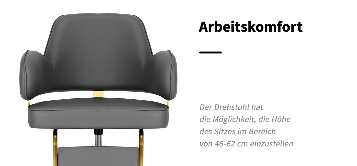 Friseurstuhl Gabbiano Linz NQ Gold Grau