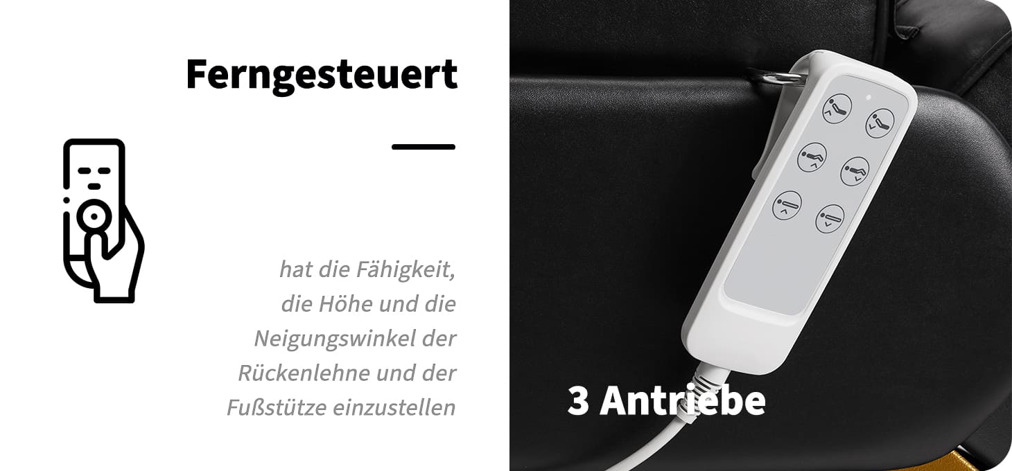 Elektrische Kosmetikliege SILLON LUX 273B 3 Motoren Gold Schwarz