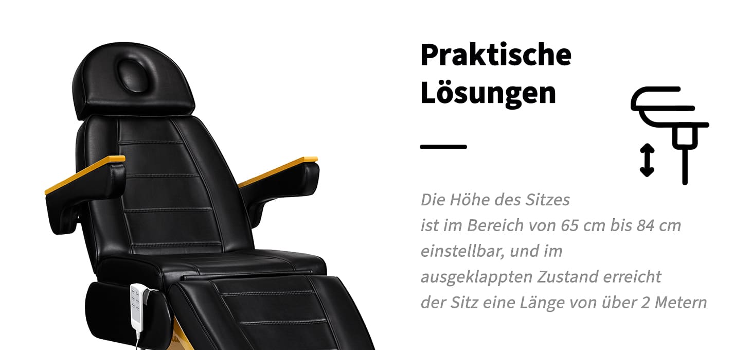 Elektrische Kosmetikliege SILLON LUX 273B 3 Motoren Gold Schwarz