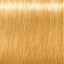 !Neu! Schwarzkopf Igora Vibrance