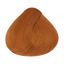 Haarfarbmuster Alfaparf Milano Evolution of the Color Rottöne – Farbton 8.4