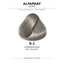 Alfaparf Milano Evolution of the Color Cool Browns 9.1 Lichtblond Asch PF025581
