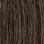 L'Oreal Professionnel Diarichesse Haartönung – 5.13 marron – Haarfarbmuster