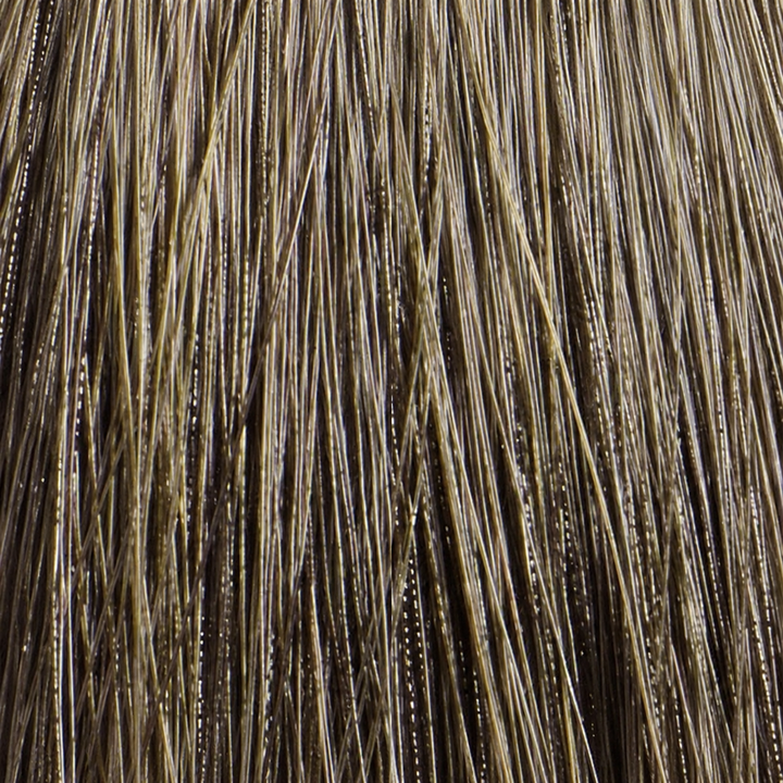 L'Oreal Professionnel Diarichesse Haartönung – 6 dunkelblond – Haarfarbmuster