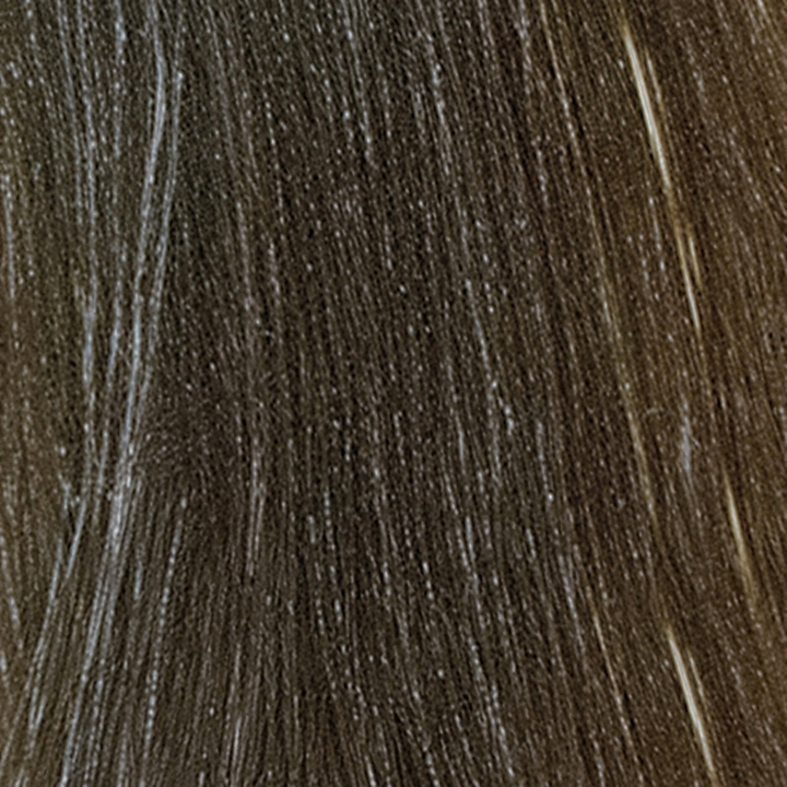 L'Oreal Professionnel Diarichesse Haartönung – 6.01 dunkelblond frost – Haarfarbmuster