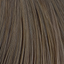 L'Oreal Professionnel Diarichesse Haartönung – 6.13 trüffel – Haarfarbmuster