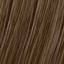 L'Oreal Professionnel Diarichesse Haartönung - 7.32 honiggold - Haarfarbmuster