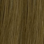 L'Oreal Professionnel Diarichesse Haartönung – 8.13 beigeblond hell ash – Haarfarbmuster