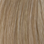 L'Oreal Professionnel Diarichesse Haartönung – 9.13 beigeblond Sehr Hell Ash – Haarfarbmuster