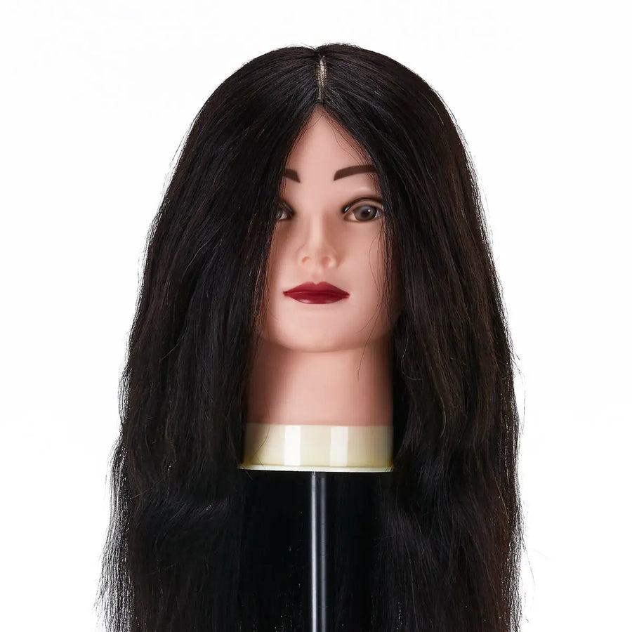 Friseur-Trainingskopf von Gabbiano WZ1 mit echtem Haar Farbe 1# Länge 20’’