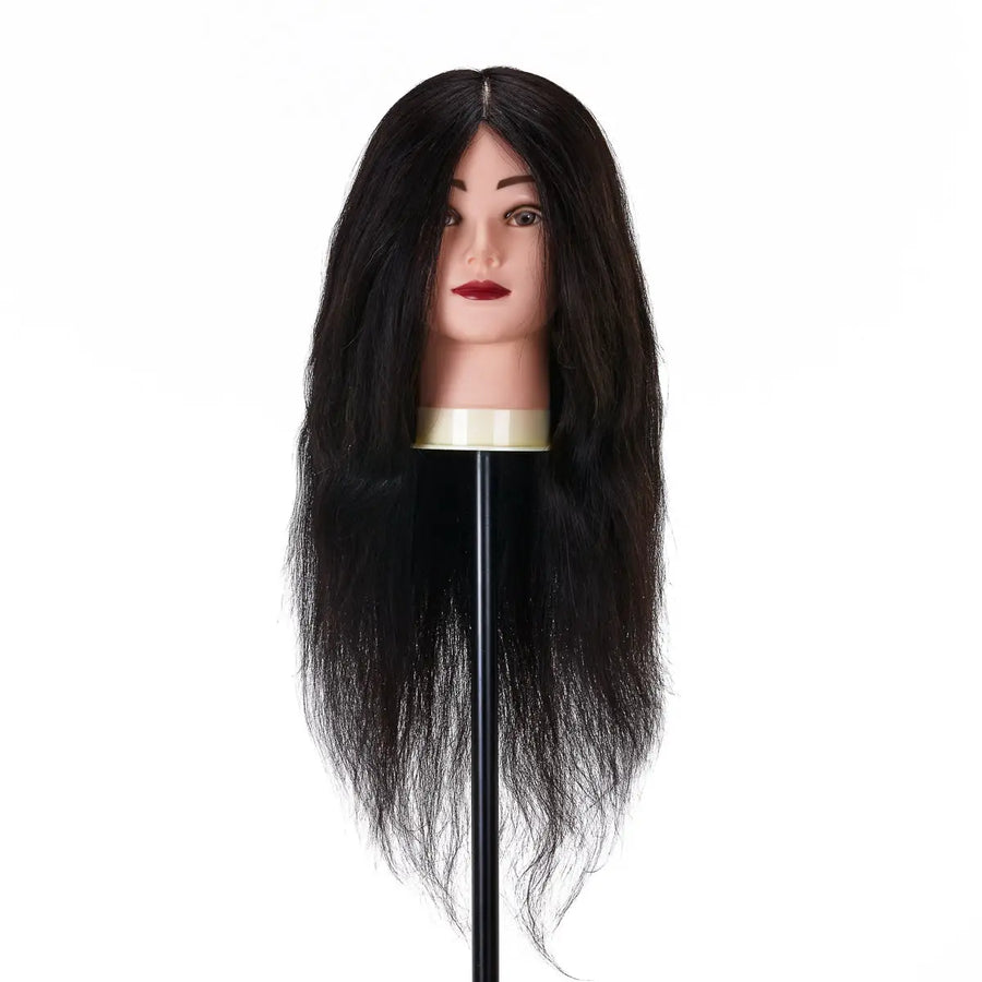 Friseur-Trainingskopf von Gabbiano WZ1 mit echtem Haar Farbe 1# Länge 20’’