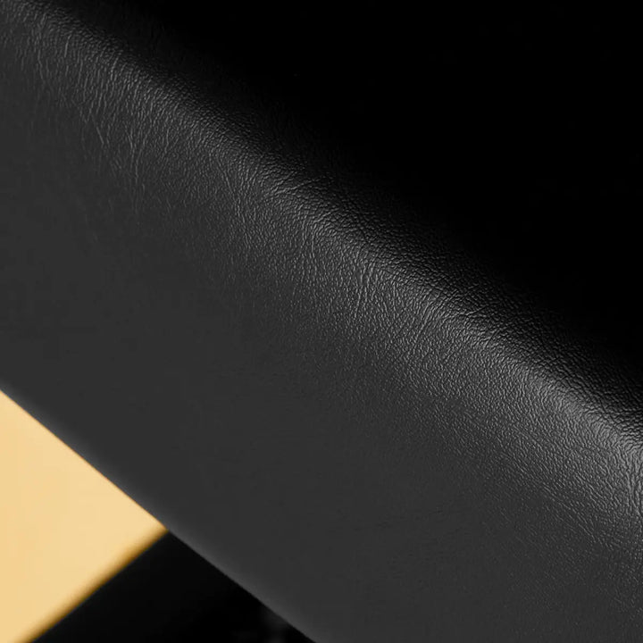 Friseurstuhl Gabbiano Turyn Schwarz Gold