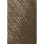 Goldwell Topchic Cool Blondes Tuben 60 ml - 8SB silber blond - Haarfarbe