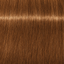 Schwarzkopf Igora Royal Absolutes – 9-470 Extra Hellblond Beige Kupfer Natur – Haarfarbmuster