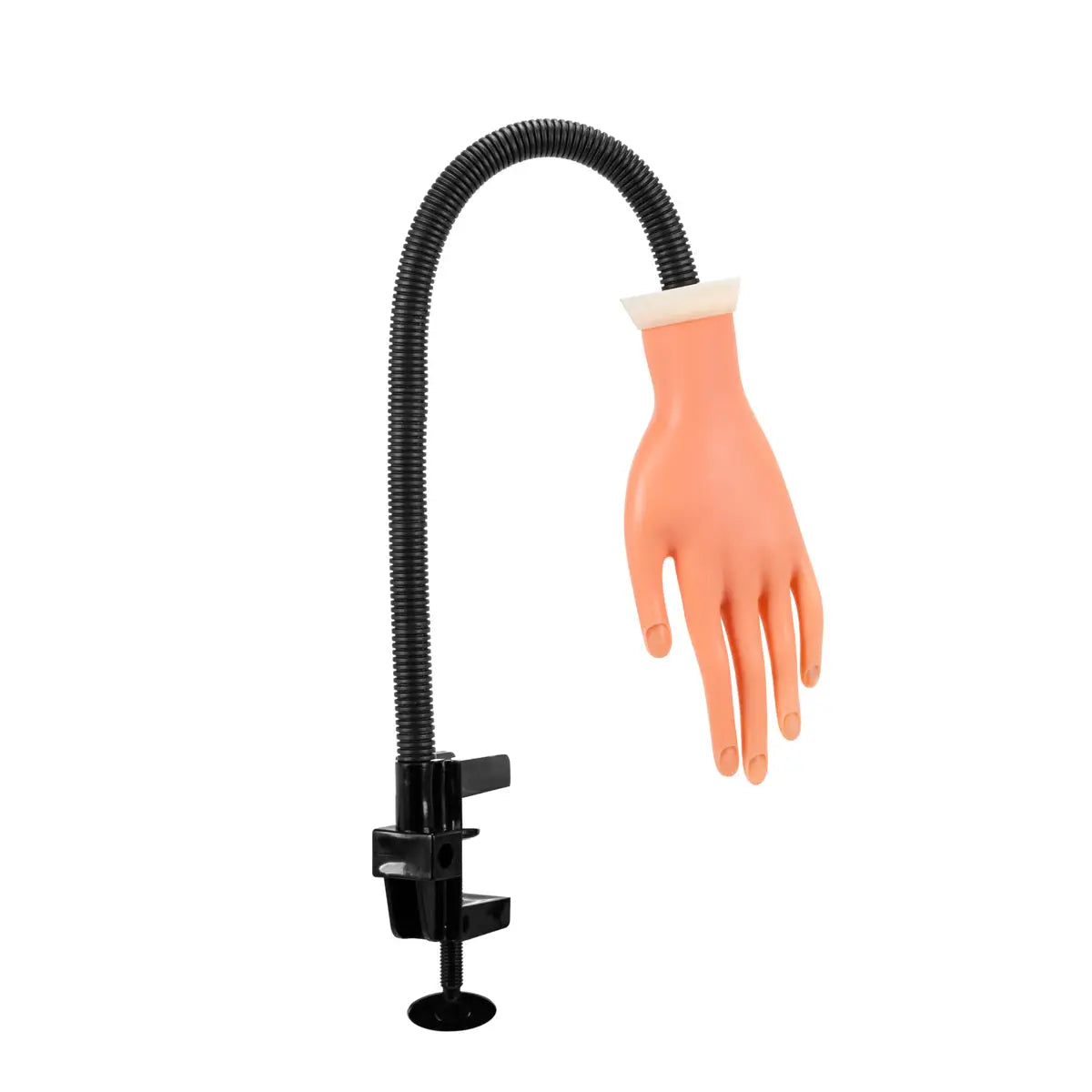 Hand um Erlernen der Maniküre Nägel Tipps 35 - Handmodell