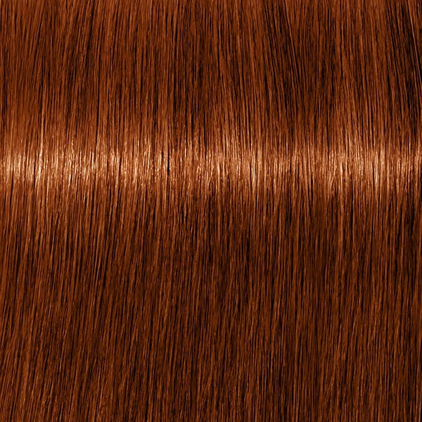 Schwarzkopf IGORA Royal Absolutes 6-70 – Haarfarbmuster