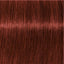 Schwarzkopf IGORA Royal Absolutes 6-80 – Haarfarbmuster