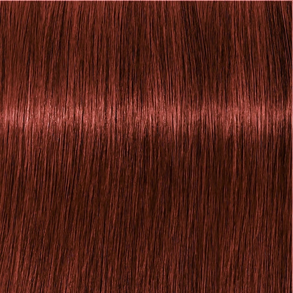 Schwarzkopf IGORA Royal Absolutes 6-80 – Haarfarbmuster