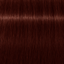 Igora Royal Absolutes 7-470 Mittelblond Beige Kupfer Natur – Haarfarbmuster