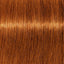 Schwarzkopf IGORA Royal Absolutes 7-70 – Haarfarbmuster