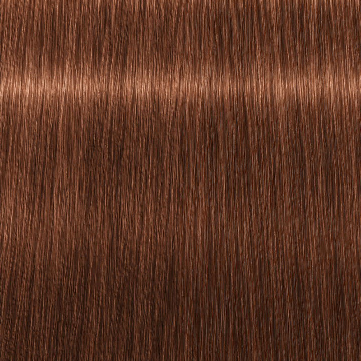 Igora Royal Absolutes 7-710 Mittelblond Kupfer Cendré Natur – Haarfarbmuster
