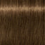 Schwarzkopf IGORA Royal 6-46 – Haarfarbmuster