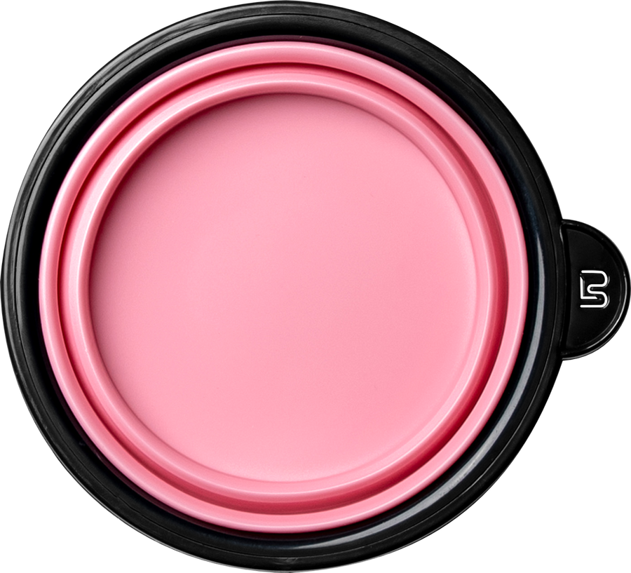 L3VEL3 Collapsible Tint Bowl Pink
