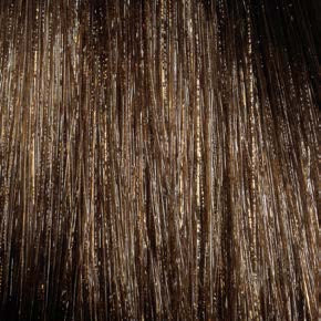 L�Or�al Professionnel Diarichesse 5.35 � Original-Haarfarbmuster