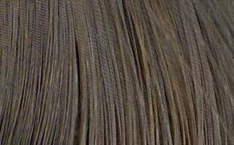 L�Or�al Professionnel Diarichesse 6.13 � Original-Haarfarbmuster