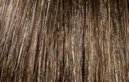 L�Or�al Professionnel Diarichesse 6.23 � Original-Haarfarbmuster