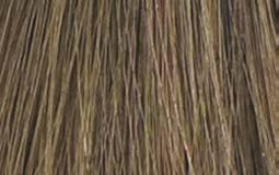 L�Or�al Professionnel Diarichesse 7 � Original-Haarfarbmuster