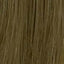L�Or�al Professionnel Majirel 8.13 � Original-Haarfarbmuster