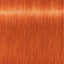 Schwarzkopf Igora Royal 0-77 – Haarfarbmuster