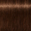 Schwarzkopf IGORA Royal 5-57 Hellbraun Gold Kupfer – Haarfarbmuster