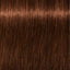 Schwarzkopf IGORA Royal 5-7 Hellbraun Kupfer – Haarfarbmuster