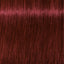 Schwarzkopf IGORA Royal 5-88 Hellbraun Rot Extra – Haarfarbmuster