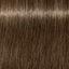 Schwarzkopf IGORA Royal 6 - 0 Dunkelblond Natur – Haarfarbmuster