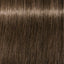 Schwarzkopf IGORA Royal 6 - 00 Dunkelblond Natur Extra – Haarfarbmuster