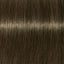 Schwarzkopf IGORA Royal 6-31 Dunkelblond Matt Cendré – Haarfarbmuster