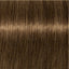 Schwarzkopf IGORA Royal 6-4 Dunkelblond Beige – Haarfarbmuster