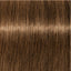 Schwarzkopf IGORA Royal 6-5 Dunkelblond Gold – Haarfarbmuster