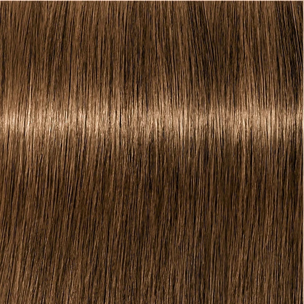 Schwarzkopf IGORA Royal 6-5 Dunkelblond Gold – Haarfarbmuster