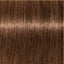 Schwarzkopf IGORA Royal 6-65 Dunkelblond Schoko Gold – Haarfarbmuster