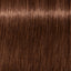 Schwarzkopf IGORA Royal 6-68 Dunkelblond Schoko Rot – Haarfarbmuster