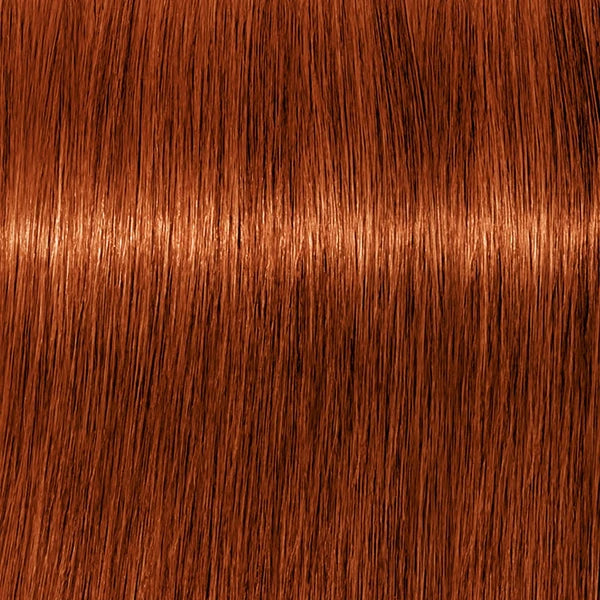 Schwarzkopf IGORA Royal 6-77 Dunkelblond Kupfer Extra – Haarfarbmuster