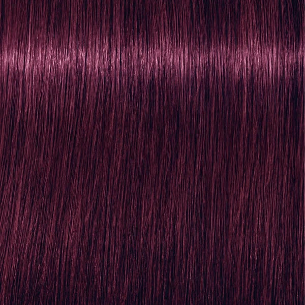 Schwarzkopf IGORA Royal 6-99 Dunkelblond Violett Extra – Haarfarbmuster