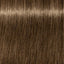 Schwarzkopf IGORA Royal 7 - 00 Mittelblond Natur Extra – Haarfarbmuster