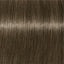 Schwarzkopf IGORA Royal 7-13 Mitelblond Cedre Matt – Haarfarbmuster